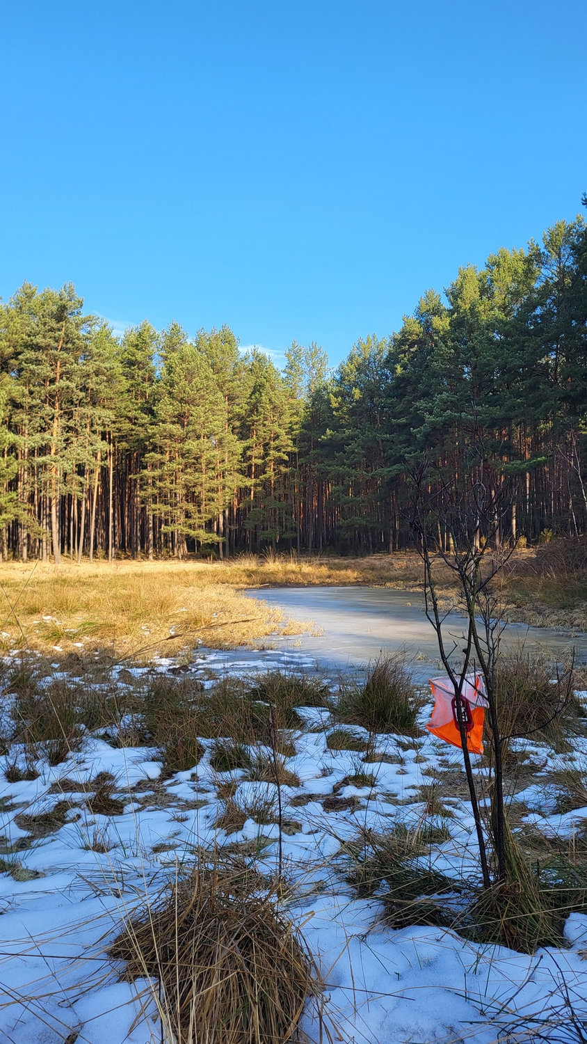 Dystans Stołeczny VI - wiosna w Popowie, ostatnie etapy przed nami!
